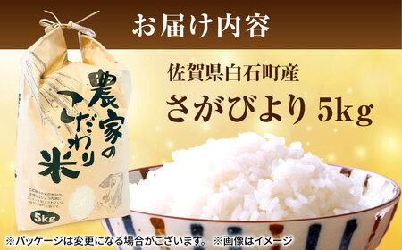 さがびより（白米） 5kg 【かわさきいちご】[IBG018]