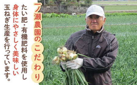 新玉ねぎ（サイズ混合）約10kg / 玉葱 早生 [IBQ012]