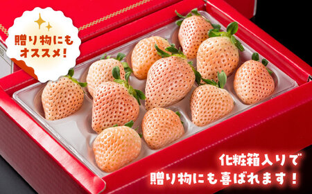 先行予約 農家直送 ほんのりピンクな白いちご希少 淡雪 化粧箱入り400g 岸川農園 Iap004 佐賀県白石町 ふるさと納税サイト ふるなび