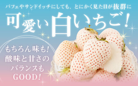 【先行予約】【農家直送】味のバランスのよい希少な白いちご「天使のいちご」220g×2パック【ひかるのうえん】 [IBI001]