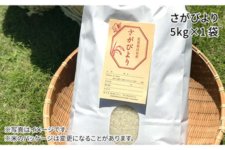 令和6年度 佐賀県白石産さがびより 玄米10kg （小ぶり赤玉ねぎ