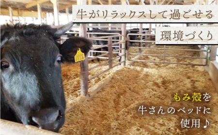 【贅沢な味わい】牧場直営店の黒毛和牛ロースステーキ（800g）【川崎畜産】 [IAX007]
