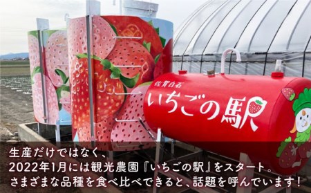 【先行予約】冷凍いちご おまかせ 詰め合わせ 750g【岸川農園】 [IAP002]