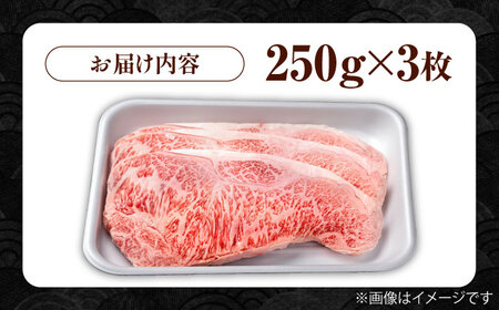 佐賀県産 黒毛和牛 贅沢サーロインステーキ 250g×3枚（計750g）/佐賀県ステーキ 和牛ステーキ 上質サーロイン 柔らかステーキ 旨味・コク溢れるステーキ 贈り物 贈答 ステーキ 黒毛和種 ステーキ【株式会社いろは精肉店】 [IAG017]