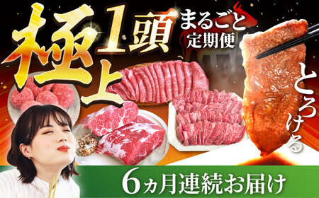 【6回定期便】佐賀牛 極上 1頭まるごと定期便 シルバーコース / 牛肉 [IAH034]