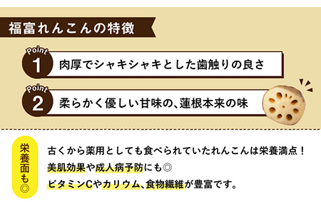 【先行予約】【節切り】希少なオーガニック 福富れんこん（洗い）約1.5kg【中島農園】新鮮なれんこんを産地直送！ オーガニックれんこん 佐賀県産蓮根 白石町 福富れんこん 洗いれんこん 有機  おでん きんぴら 煮物 天ぷら [IBC003]