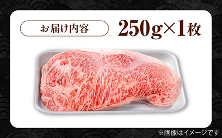 佐賀牛 贅沢サーロインステーキ 250g×1枚（計250g） /肉 牛肉 佐賀牛 佐賀県産和牛 ブランド牛肉 肉 牛肉 佐賀牛 国産牛肉 上質な肉質 贅沢な牛肉 サーロインステーキ 肉 牛肉 佐賀牛 ステーキ 佐賀県産和牛 ブランド牛肉 肉 牛肉 佐賀牛 国産牛肉 【株式会社いろは精肉店】 [IAG050]