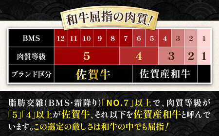 佐賀牛 サーロインステーキ 500g / サーロインステーキ [IAG051]