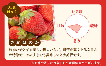 【先行予約】さがほのかとパールホワイト 220g / いちご [IAQ004]