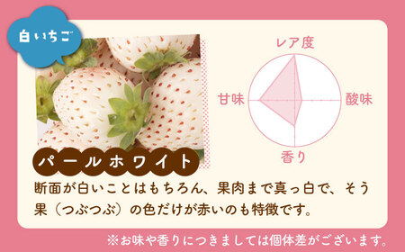 【先行予約】さがほのかとパールホワイト 220g / いちご [IAQ004]