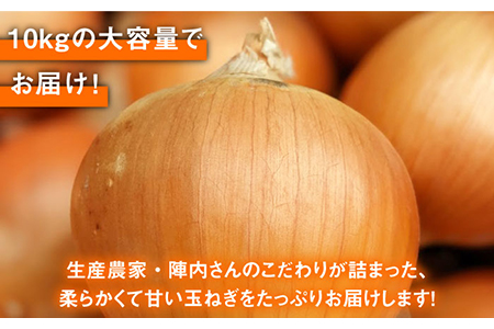 【先行予約】農家直送！玉葱農家のこだわり玉ねぎ 約10kg【玉葱農家 陣内ちひろ】玉ねぎ タマネギ玉ネギ たまねぎ 玉葱オニオン玉ねぎタマネギ 玉ネギ たまねぎ 玉葱[IAO001]