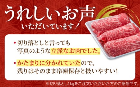 【12回定期便】佐賀県産 黒毛和牛 切り落とし 500g  / 牛肉切り落とし [IAG064]