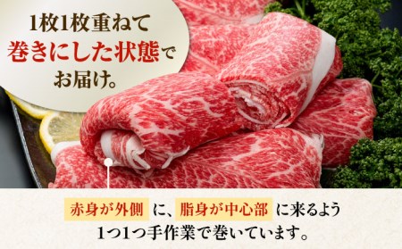 【12回定期便】佐賀県産 黒毛和牛 切り落とし 500g  / 牛肉切り落とし [IAG064]
