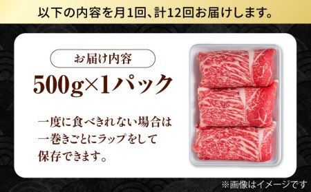 【12回定期便】佐賀県産 黒毛和牛 切り落とし 500g  / 牛肉切り落とし [IAG064]