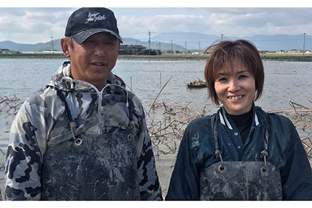 【ミシュランシェフも認めたれんこん】田島屋れんこん 約3kg（泥付き）【田島屋れんこん】 /新鮮なれんこんを産地直送！ れんこん 蓮根 レンコン 佐賀県産 白石町産れんこん 泥付きれんこん れんこん 蓮根 レンコン シャキシャキ ホクホク 甘いれんこん おでん きんぴら れんこん 蓮根 レンコン 煮物 天ぷら れんこん 蓮根 レンコン 保存 れんこん 蓮根 レンコン [IAV001]