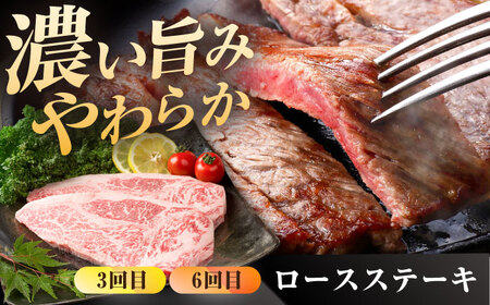 【6回定期便】佐賀牛 定期便 / 牛肉  [IAG075]