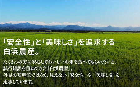 【先行予約】【令和6年産新米】【九州米・食味コンクール3年連続入賞！】こだわりのさがびより 20kg（白米）【白浜農産】/米 お米 白米 ごはん ご飯 特別栽培米 ブランド米 米 お米 白米 ごはん ご飯 さがびより さがのお米 米粒 米 お米 白米 ごはん ご飯 お米の甘味 米 お米 白米 ごはん ご飯 [IBL002]