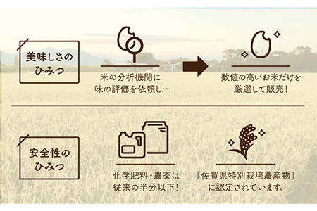 【令和5年産】【九州米・食味コンクール3年連続入賞！】こだわりのさがびより 20kg（玄米） /令和5年度産 米 特別栽培米 玄米 ブランド米 さがびより さがのお米 米粒が大きくしっかり お米の甘味 冷めてもおいしいお米  ごはん ご飯 米 お米 【白浜農産】 [IBL004]