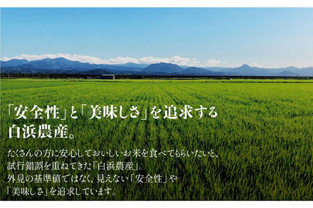 【先行予約】【令和6年産新米】学のひのひかり 10kg（白米）【白浜農産】/米 お米 白米 ごはん ご飯 特別栽培米 ブランド米 米 お米 白米 ごはん ご飯 ひのひかり さがのお米 米粒 米 お米 白米 ごはん ご飯 お米の甘味 米 お米 白米 ごはん ご飯 [IBL005]