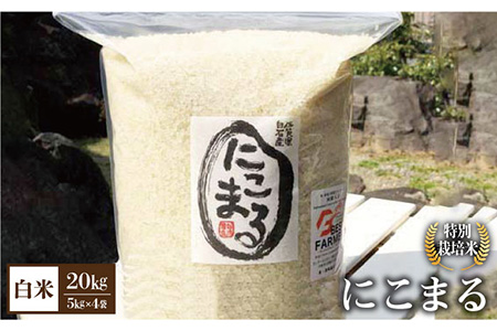 【先行予約】【令和6年産新米】こだわりのにこまる 20kg（白米）【白浜農産】/米 お米 白米 ごはん ご飯 特別栽培米 ブランド米 米 お米 白米 ごはん ご飯 にこまる さがのお米 米粒 米 お米 白米 ごはん ご飯 お米の甘味 米 お米 白米 ごはん ご飯 [IBL010]