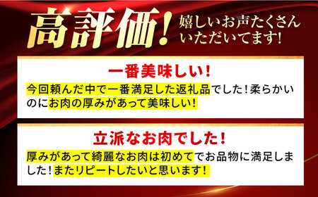 国産牛 サーロインステーキ 900g / ステーキ [IAH038]