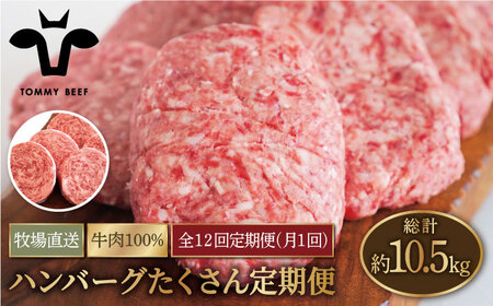 【12回定期便】ハンバーグ＆ロールステーキ定期便 / ハンバーグ [IAH050]