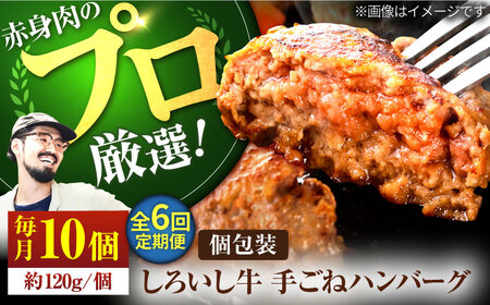 【6回定期便】 手ごねハンバーグ10個 / ハンバーグ [IAH058]