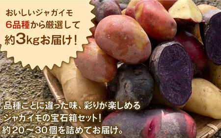 【数量限定！】ジャガイモ 詰め合わせ 食べ比べセット 約3kg【桑野ファーム】 [IAR001]