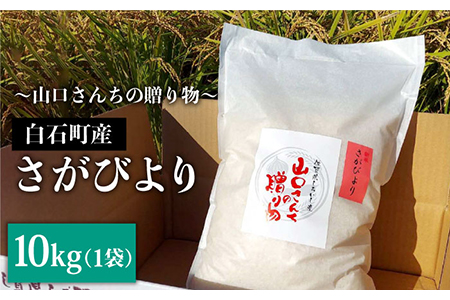 【先行予約】令和6年産新米！ 特別栽培米 さがびより 10kg（白米）山口さんちの贈り物【y'scompany】/お米 ごはん ご飯 特別栽培米 ブランド米 [IAS006]