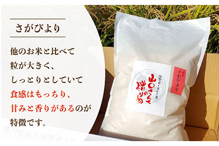 【令和5年産】特別栽培米 さがびより 5kg（白米）山口さんちの贈り物 /令和5年度産米 特別栽培米 白米 ブランド米 さがびより さがのお米 米粒が大きくしっかり お米の甘味 冷めてもおいしいお米 ごはん ご飯 米 お米 【y'scompany】 [IAS005]