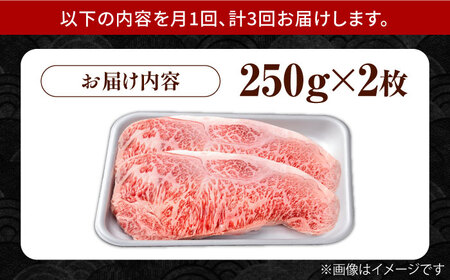 【3回定期便】佐賀県産 黒毛和牛 サーロインステーキ 500g / ステーキ [IAG087]