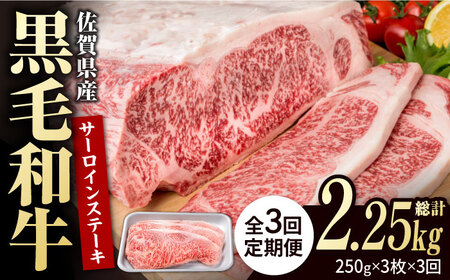 【3回定期便】佐賀県産 黒毛和牛 サーロインステーキ 750g / ステーキ [IAG090]