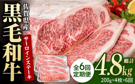 【6回定期便】佐賀県産 黒毛和牛 サーロインステーキ 800g / ステーキ [IAG103]