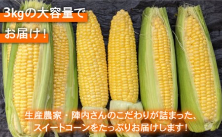 【先行予約】【数量限定】スイートコーン 約3kg / とうもろこし [IAO014]