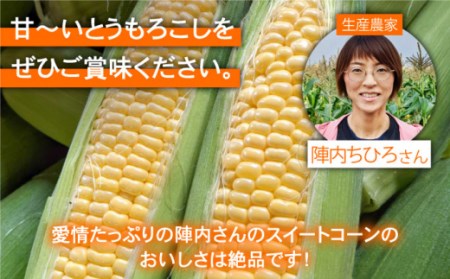 【先行予約】【数量限定】スイートコーン 約3kg / とうもろこし [IAO014]