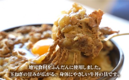 牛丼の具（120g×6袋入り） / 牛丼 [IAZ005]