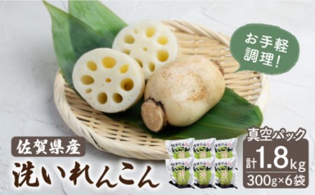 【年内発送】洗いれんこん 真空パック入り 約300g×6袋（計約1.8kg） / れんこん [ICC003]