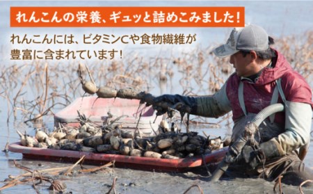 れんこん茶とパウダーのセット / れんこん茶 [ICC006]