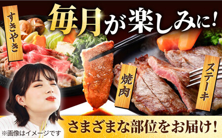 【3回定期便】贅沢！佐賀牛赤身 定期便 / 赤身 [IAH083]