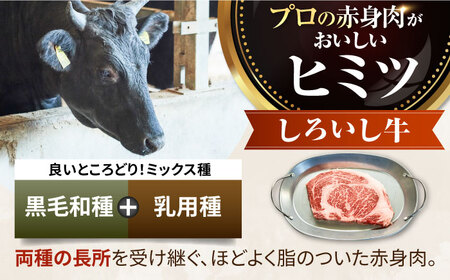 【6回定期便】 万能切落し 1000g / 牛肉切り落とし [IAH134]