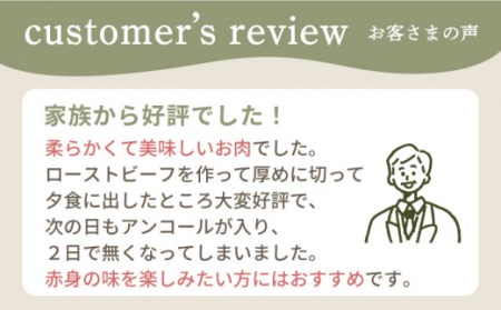 【3回定期便】 赤身ブロック（ローストビーフ用）500g / 牛肉ブロック [IAH136]