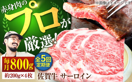 【5回定期便】佐賀牛 サーロインステーキ 800g / ステーキ  [IAH167]