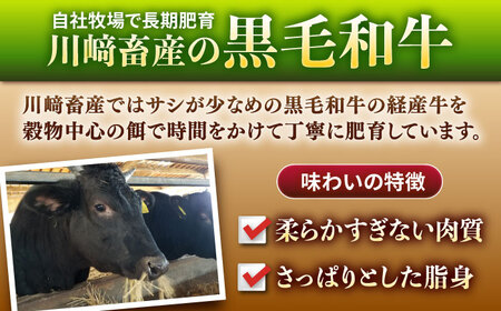 【3回定期便】黒毛和牛100%ミンチ 1kg / ひき肉 [IAX020]