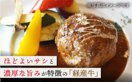 【6回定期便】黒毛和牛100%ミンチ 1kg/ ひき肉 [IAX021]