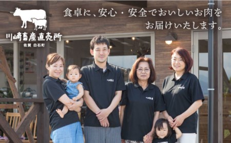 【12回定期便】黒毛和牛100%ミンチ 1kg / ひき肉  [IAX022]