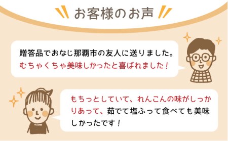 農家直送！こだわり白石れんこん 約2kg【れんこんの家やました】 /新鮮なれんこんを産地直送！ れんこん 蓮根 レンコン 佐賀県産 白石町産れんこん 泥付きれんこん れんこん 蓮根 レンコン シャキシャキ ホクホク 甘いれんこん おでん きんぴら れんこん 蓮根 レンコン 煮物 天ぷら れんこん 蓮根 レンコン 保存 れんこん 蓮根 レンコン [IAW002]