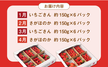 【先行予約】【4回定期便】白石産赤いちご 人気2種定期便（さがほのか＆いちごさん）約150g×6パック/回（総計3.6kg以上）【道の駅しろいしカンパニー】/いちご イチゴ 苺 ブランドいちご 赤いちご 佐賀県産 白石町産 [IAA033]