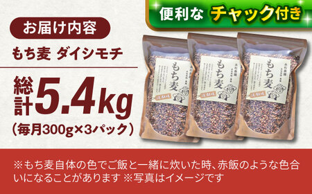 【6回定期便】白石産もち麦900g 計5.4kg / もち麦 [IAA035]