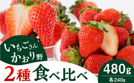 先行予約】赤いちご 食べ比べ！かおり野＆いちごさん 各240g