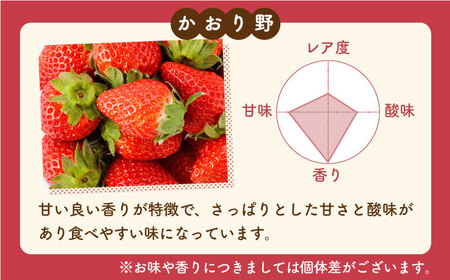 ◎いちごさん　専用ページ 先行予約】赤いちご 食べ比べ！かおり野＆いちごさん 各240g